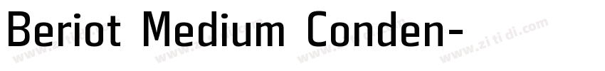 Beriot Medium Conden字体转换